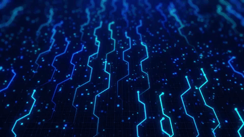 Animated GIF-downsized_large