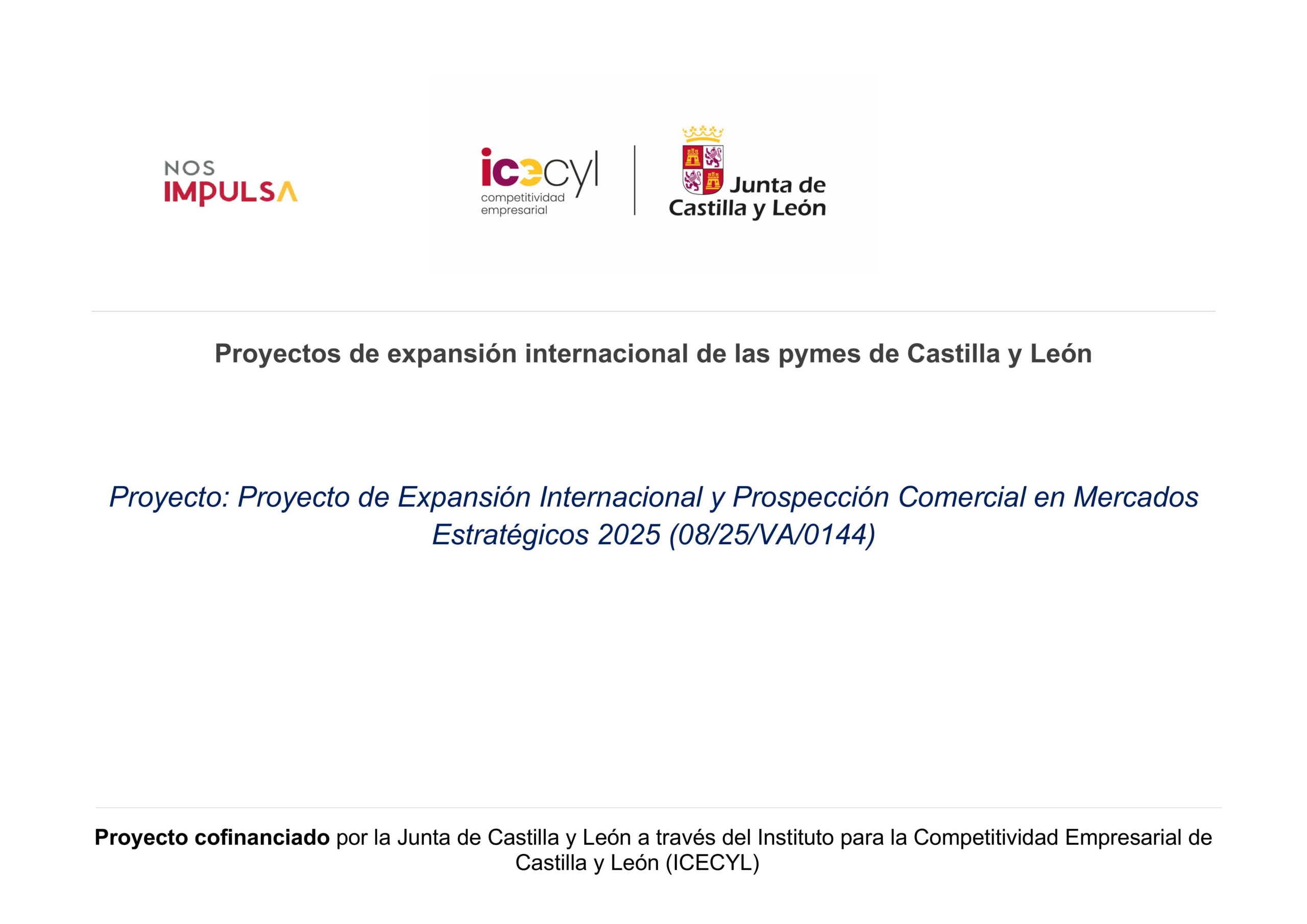 Plantilla publicidad web